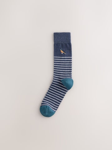 Next Socks in Mixed colours