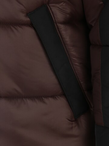 THE NORTH FACE Regularny krój Kurtka zimowa 'Himalayan' w kolorze brązowy