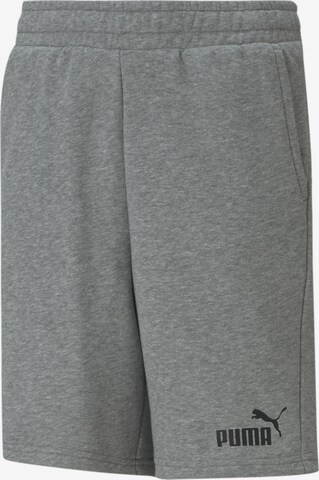 PUMA Regular Pants in Grey: front