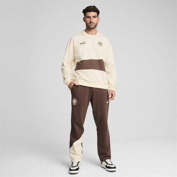 PUMA Regular Sports trousers 'FC St. Pauli' in Brown