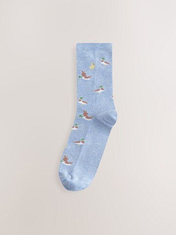 Next Socks in Mixed colours