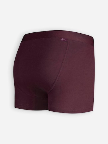A-dam Boxershorts in Rot