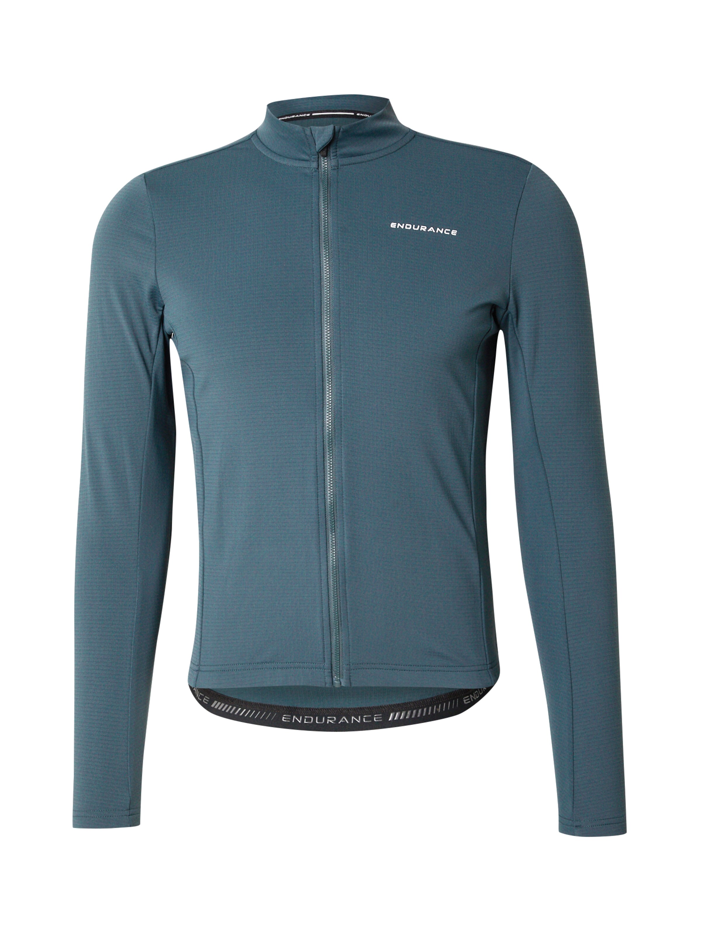 ENDURANCE Funkcionalna majica 'Megah' | zelena barva: sprednja stran