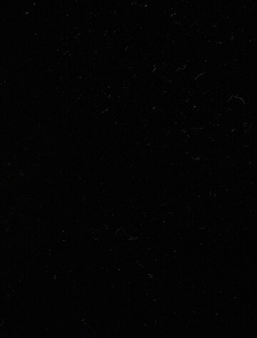 Koton Dress in Black