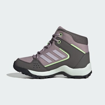 ADIDAS TERREX Boots 'Hyperhiker' in Purple