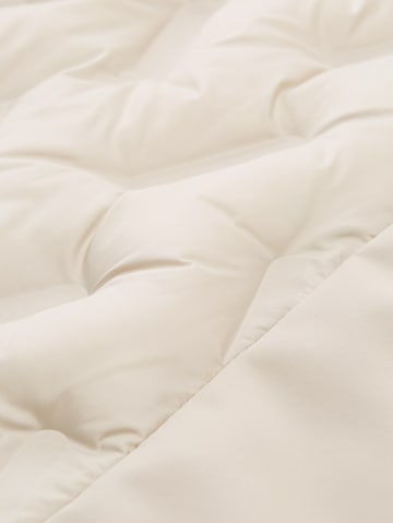 TOM TAILOR Between-Season Jacket in Beige