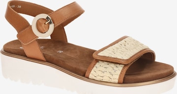 ARA Sandals in Brown: front
