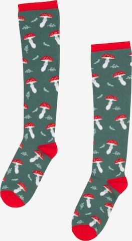 Sokisahtel Knee socks in Mixed colours: front