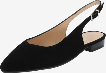 PETER KAISER Ballet Flats with Strap in Black: front