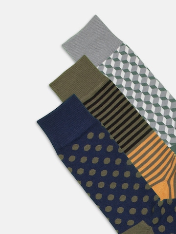 Chaussettes 'Good Old Classics' DillySocks en mélange de couleurs