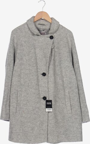 SAMOON Jacket & Coat in 5XL in Grey: front