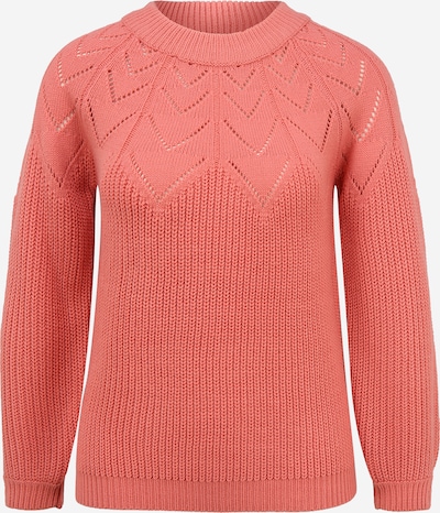 Dorothy Perkins (Petite) Пуловер 'GAUGE' в питая, Преглед на продукта