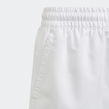 ADIDAS PERFORMANCE Regular Sportshorts in Weiß