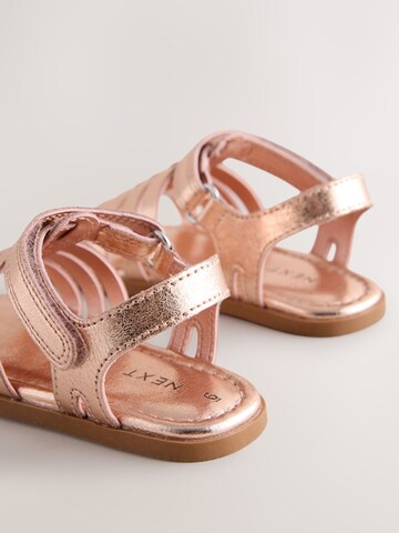 Sandales Next en rose