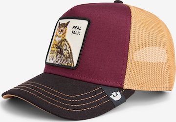 Casquette 'Owl' GOORIN Bros. en mélange de couleurs : devant