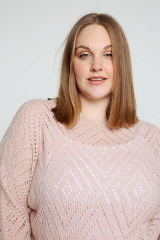 Paprika Sweater in Pink
