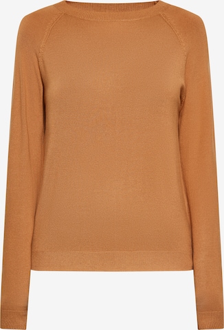 usha BLACK LABEL Sweater in Brown: front