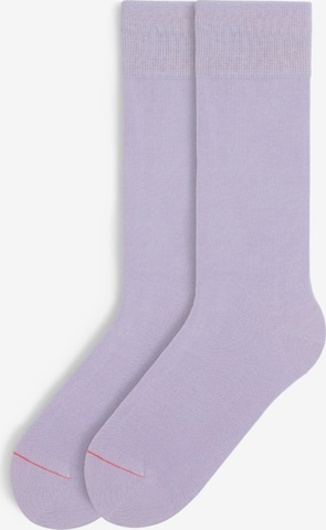 Von Jungfeld Socken 'Signature' in Lila: Vorderseite