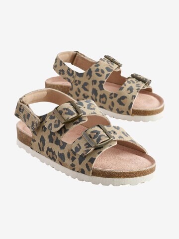 Next Sandal in Beige
