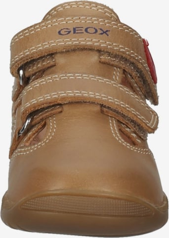 GEOX First-Step Shoes in Brown