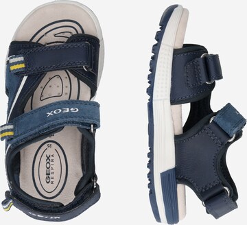 GEOX Open schoenen 'Alben' in Blauw