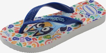 HAVAIANAS - Sapatos abertos 'KIDS BLUEY' em mistura de cores: frente