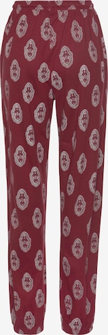 Regular Pantaloni de la s.Oliver pe roșu: spate