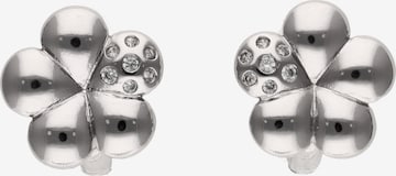 sidabrinė faina Auskarai: priekis