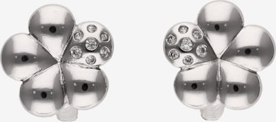 Auskarai iš faina, spalva – sidabrinė, Prekių apžvalga