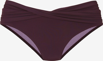 LASCANABikini donji dio - ljubičasta boja: prednji dio