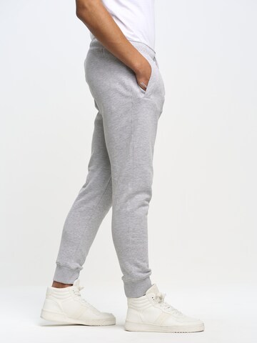 BIG STAR Tapered Pants 'KERSYN' in Grey