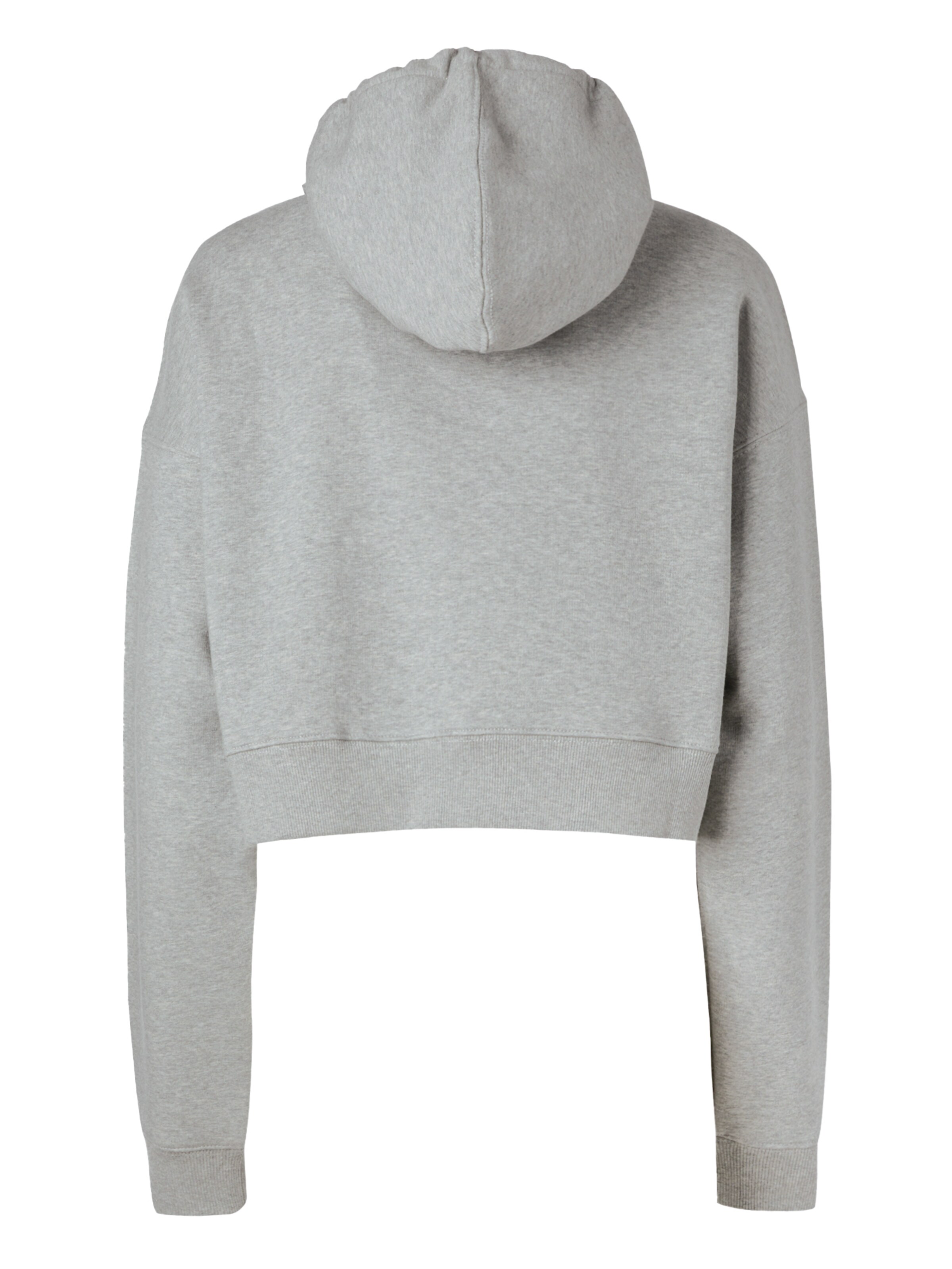 DICKIES Sweatshirt 'OAKPORT' in Grau