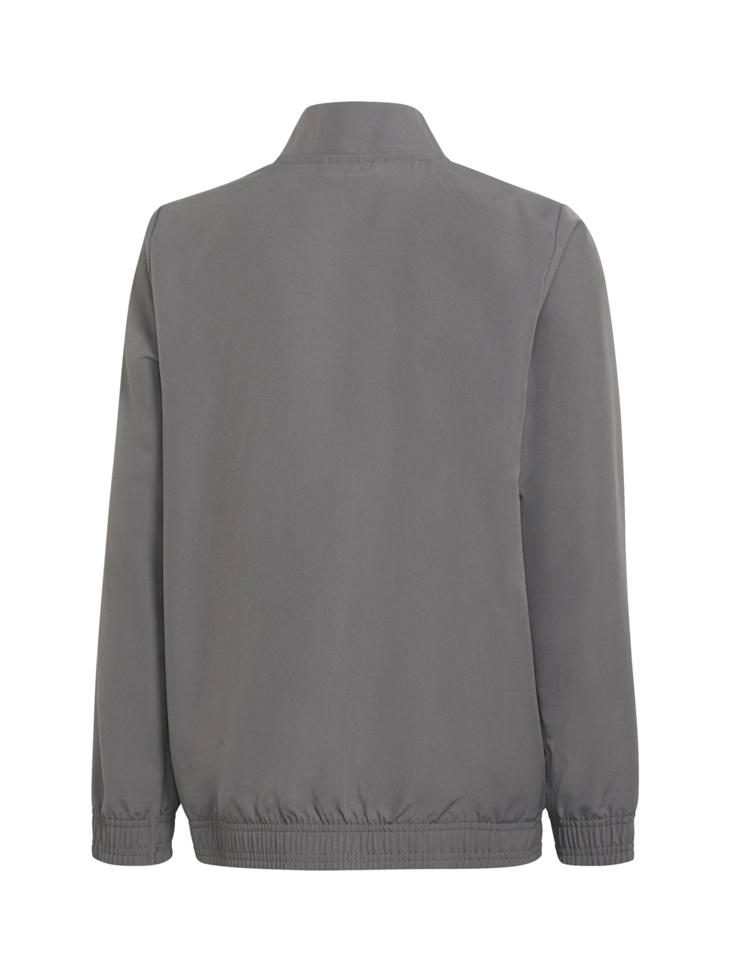 Veste de sport 'Entrada 22 Presentation' ADIDAS PERFORMANCE en gris