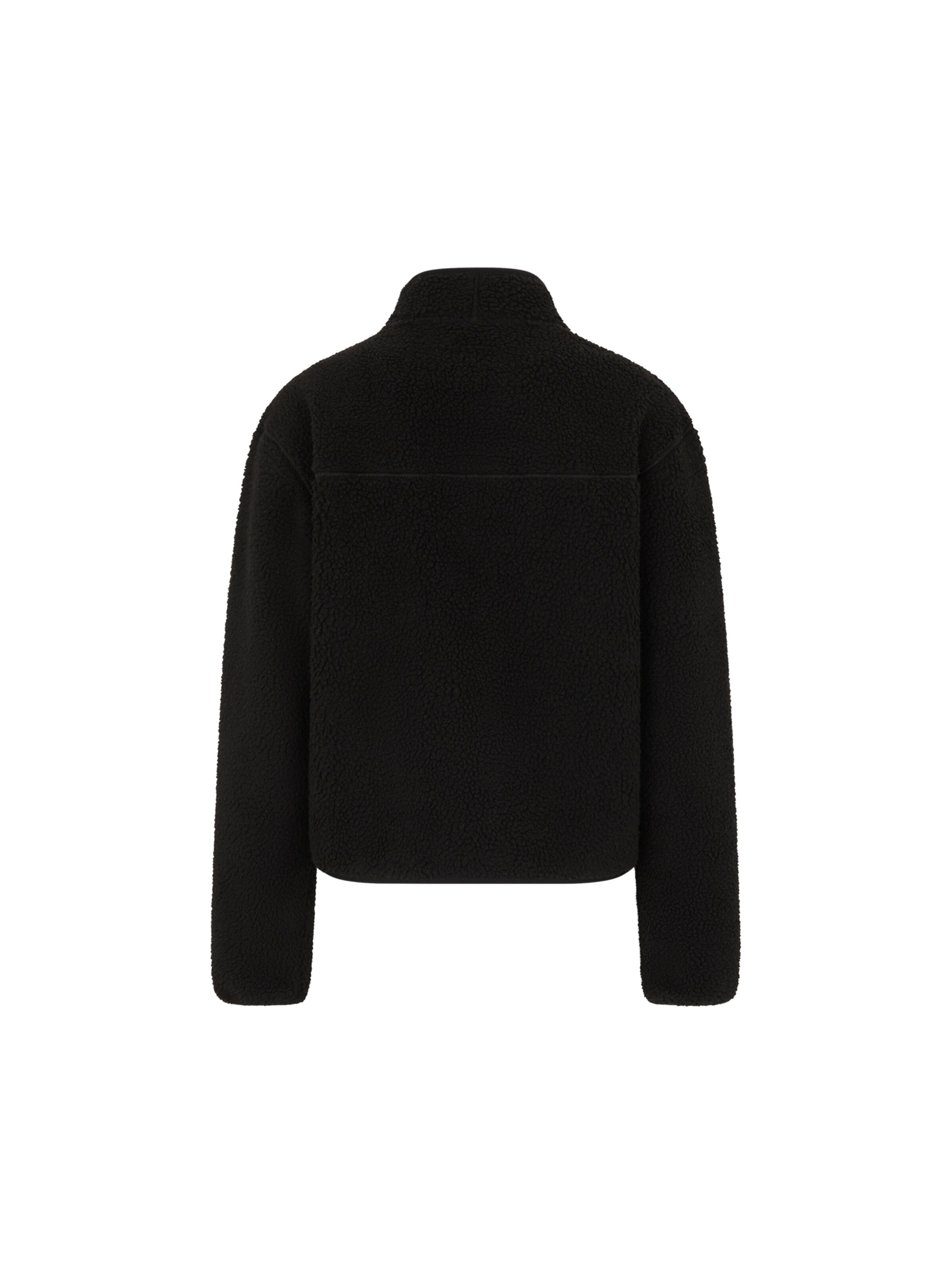 DICKIES Sweatshirt 'MOUNT HOPE' i svart