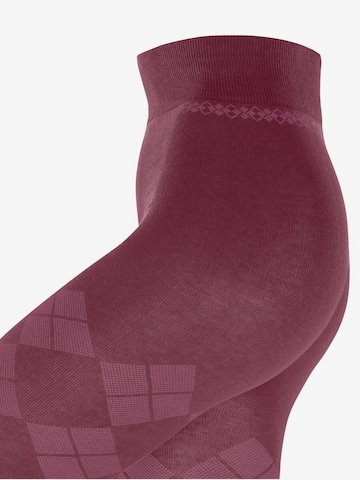 BURLINGTON Strumpfhose 'Elegant Essence' in Lila: Vorderseite