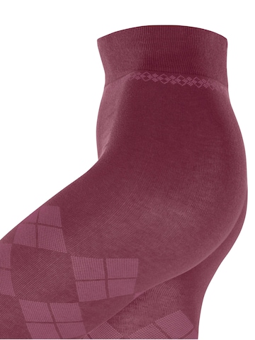 BURLINGTON Tights 'Elegant Essence' in Purple: front