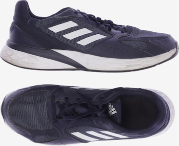 ADIDAS PERFORMANCE Sneakers & Trainers in 47 in Blue: front