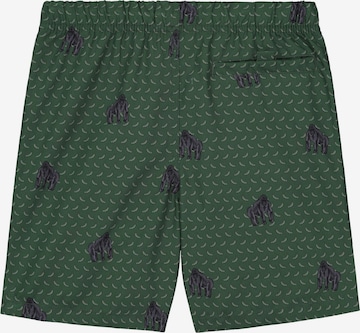 Shiwi Plavecké šortky – zelená