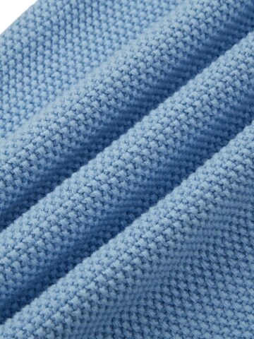 Sailing Sweater in Blue