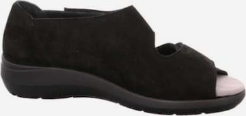 SEMLER Sandale in Schwarz