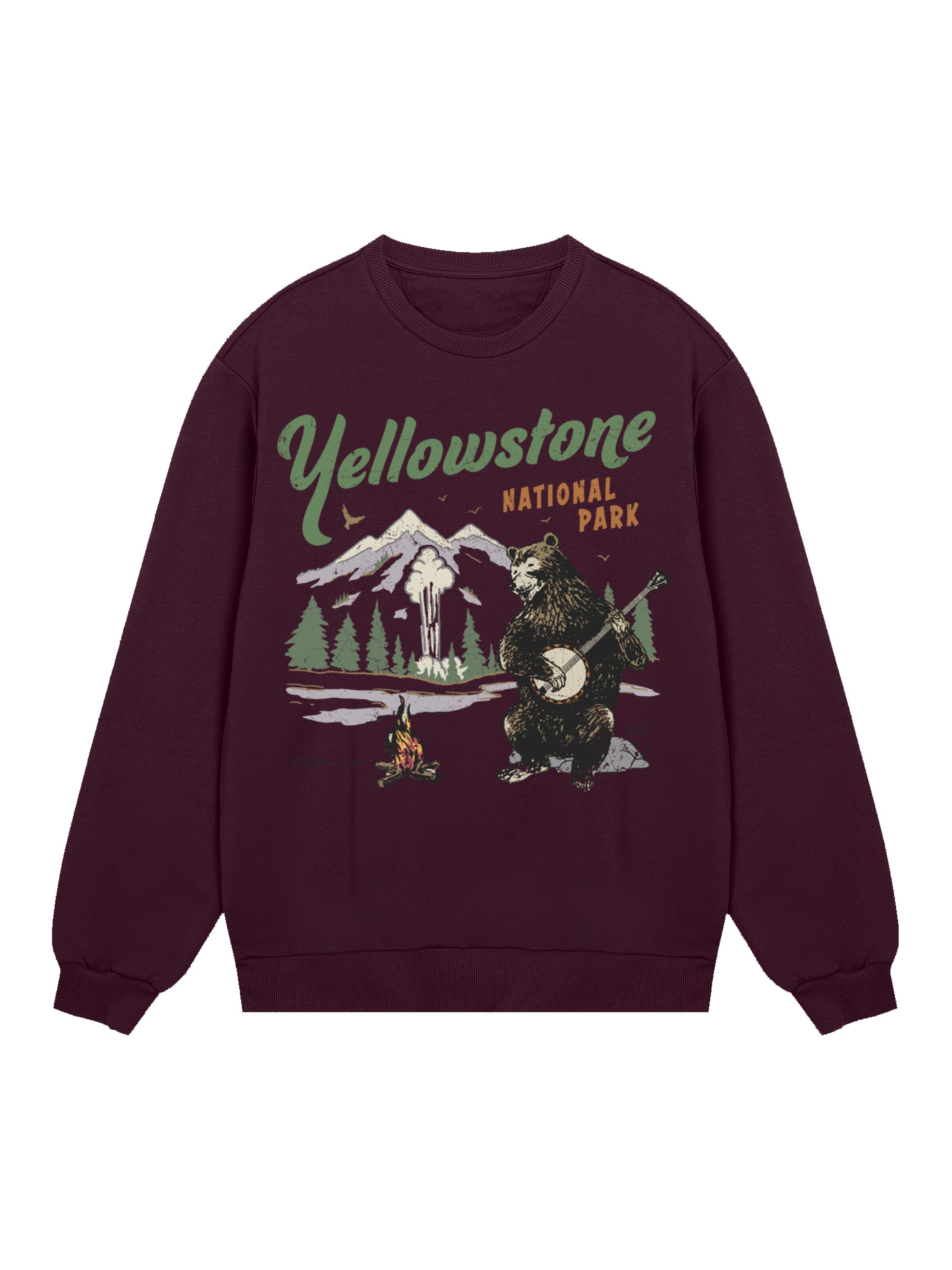 Sweat-shirt 'US National Parks Yellowstone Bear Playing Banjo' F4NT4STIC en marron : devant