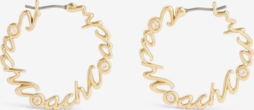 auksinė COACH Auskarai: priekis