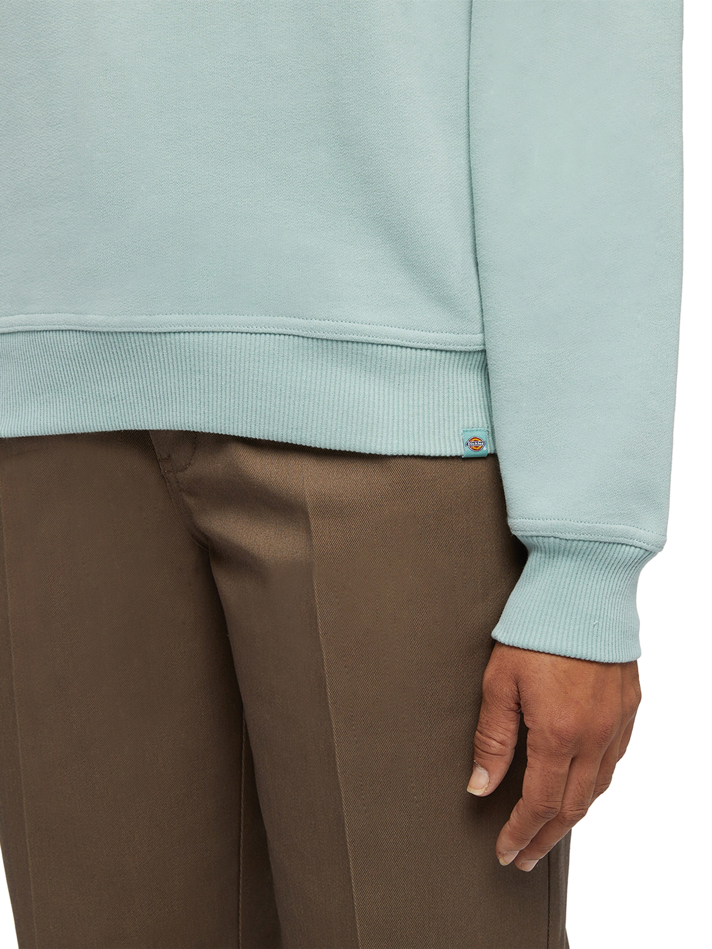 DICKIES Sweatshirt 'CLANCY' in Green