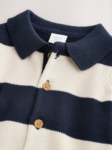 Next Gebreid vest in Blauw