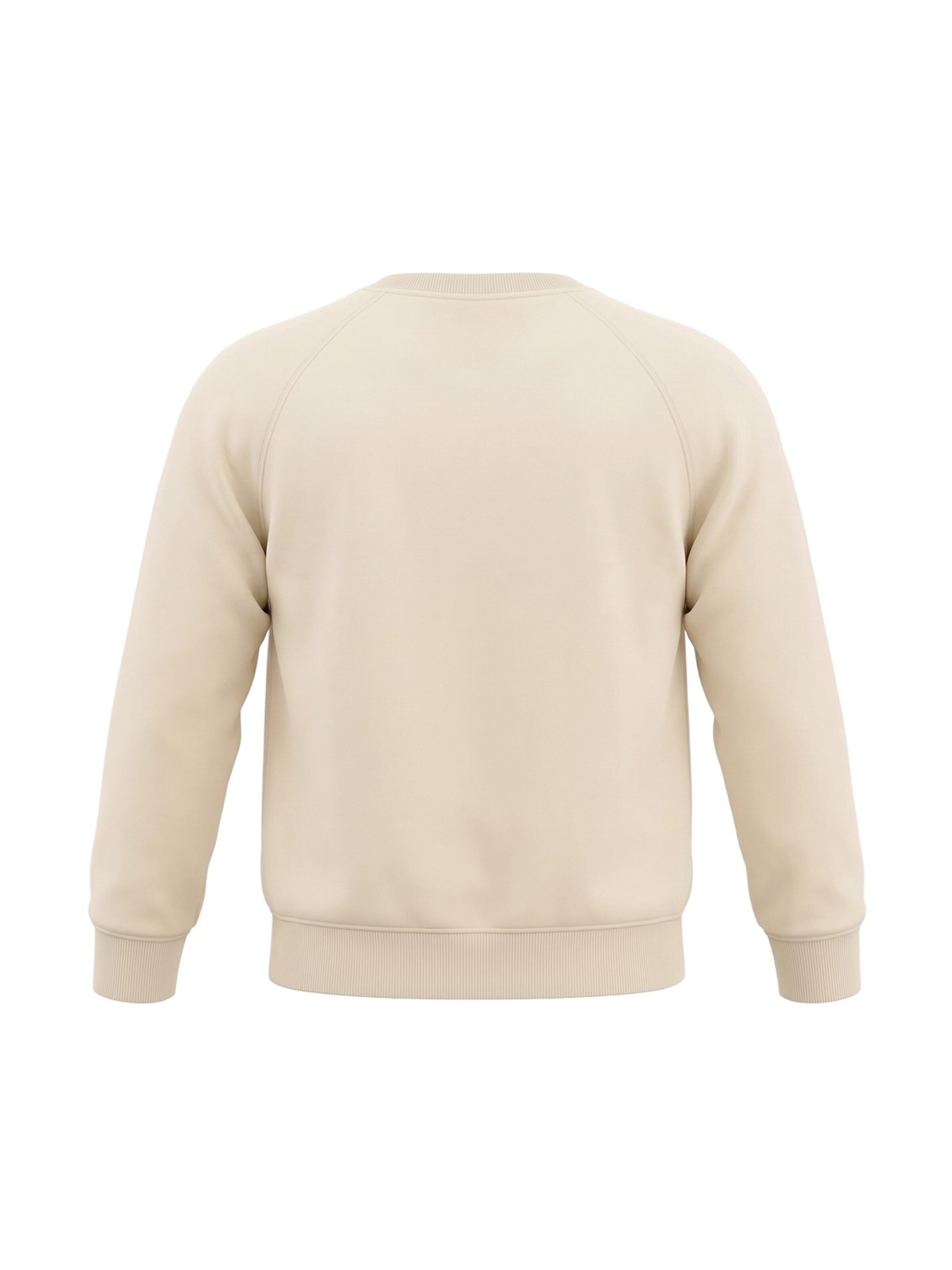 BARROW Sweatshirt in Beige
