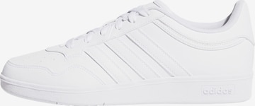 ADIDAS SPORTSWEAR Sneaker 'Hoops 4.0' in Weiß: Vorderseite
