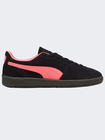 PUMA Sneakers ' Palermo ' in Pink