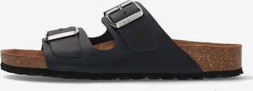 SALAMANDER Mules 'Basic' in Blue: front