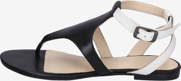 GERRY WEBER T-Bar Sandals 'Gadera 08' in Black: front