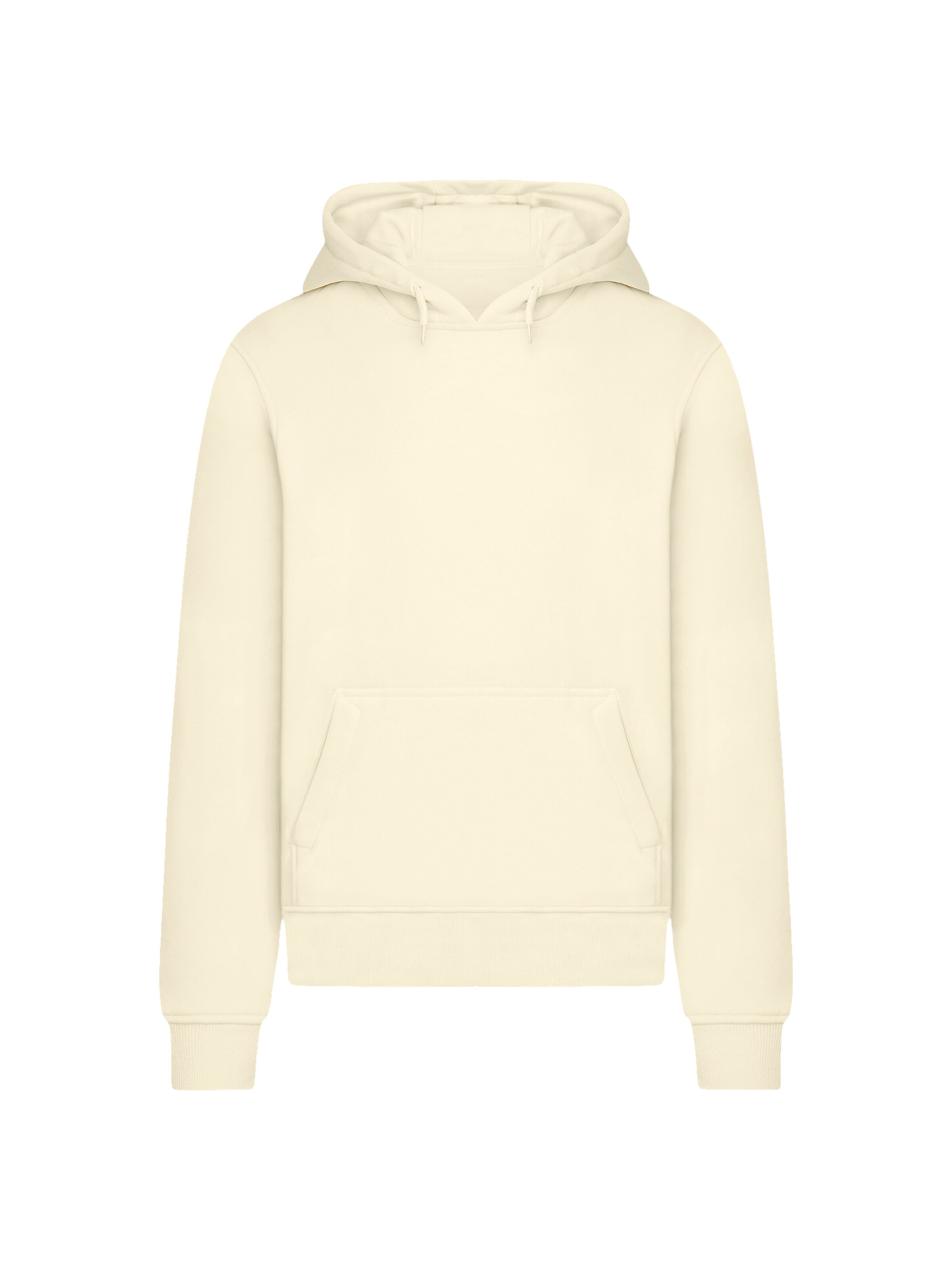 F4NT4STIC Sweater 'Escape Discover The World Tree Birds' in Beige: front